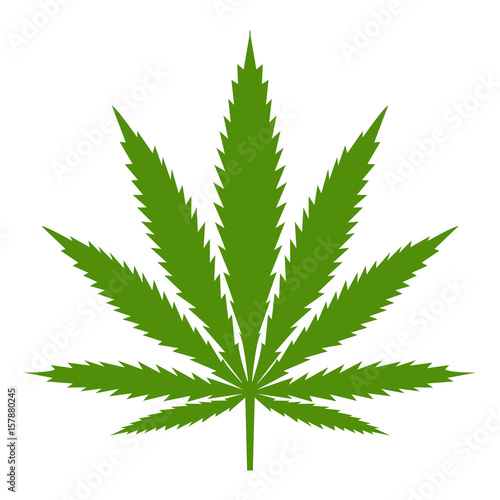 Ganja. Vector.