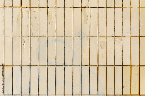 Wallpaper Mural Texture of old tiles wall. Shabby background of wertical rectangular tiles Torontodigital.ca