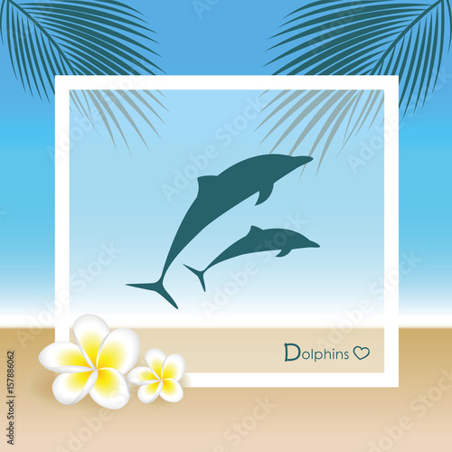 delfine fotorahmen sommerurlaub