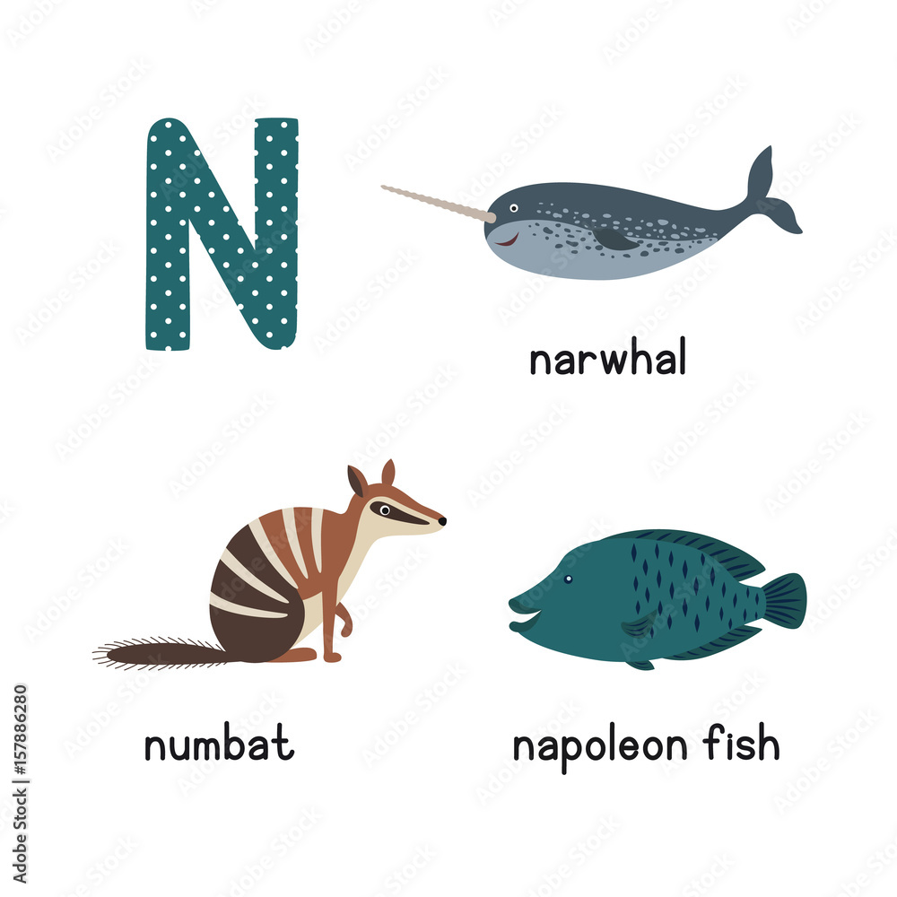 Letter N. Cartoon alphabet for children. vector illustration animal numbat, narwhal, napoleon fish Stock Vector | Adobe Stock Letter N. Cartoon alphabet for children. vector illustration animal numbat, narwhal, napoleon fish Stock Vector | Adobe Stock