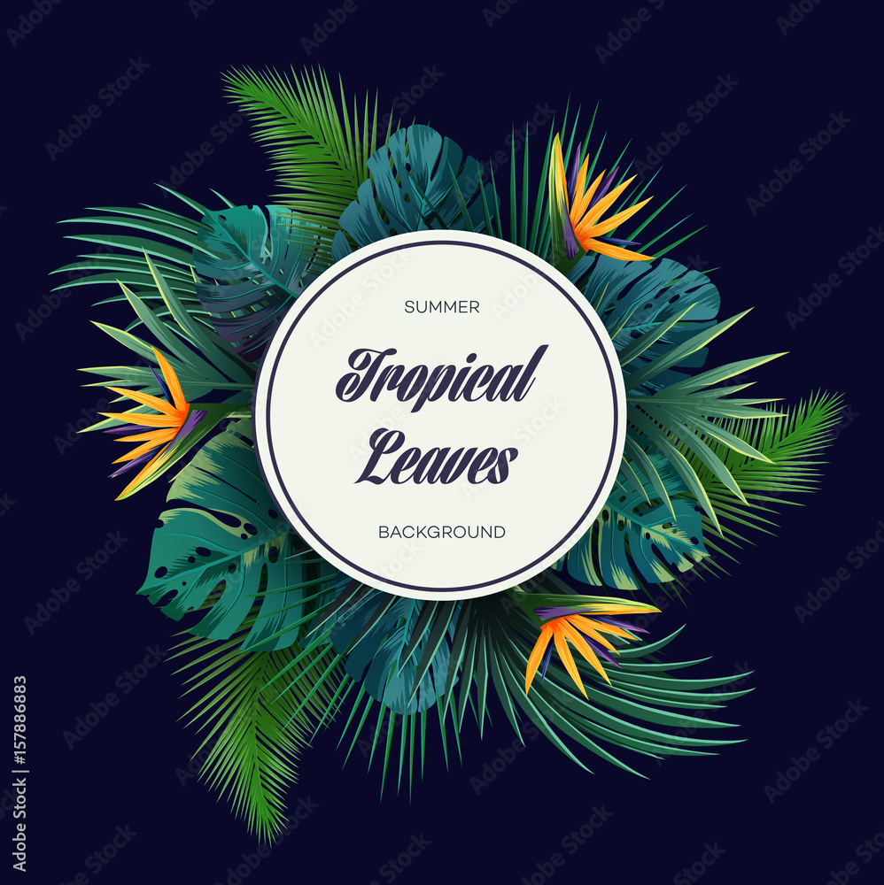 Bright tropical background with jungle plants. Exotic pattern with palm leaves. Bright tropical background with jungle plants. Exotic pattern with palm leaves.
