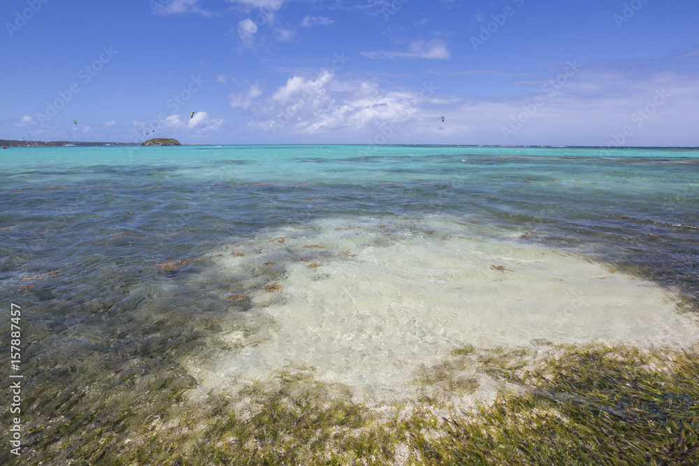The turquoise shades of the Caribbean Sea Green Island Antigua and Barbuda Leeward Island West Indies