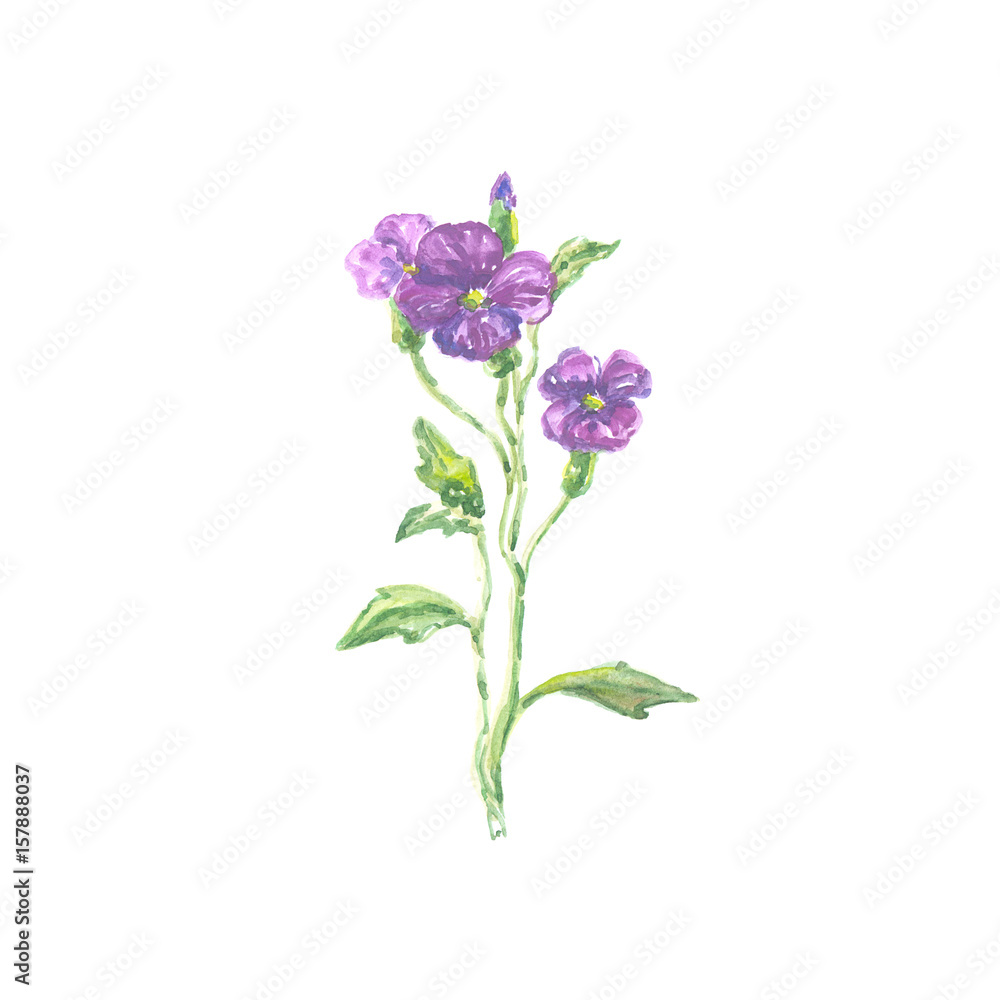 Bright watercolor flower with leaf isolated on white background Bright watercolor flower with leaf isolated on white background