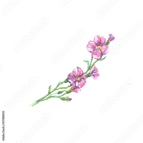 Bright watercolor flower with leaf isolated on white background