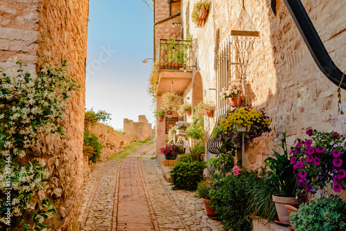 Fototapeta Naklejka Na Ścianę i Meble -  View of the city and small lanes of the town of Spello in Umbria Italy province of Perugia Italy
