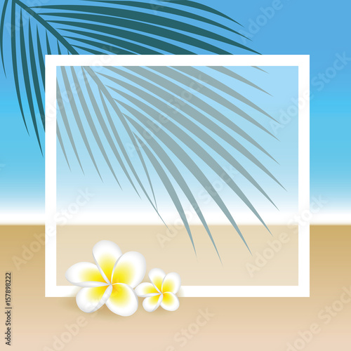 strand und palmen fotorahmen sommerurlaub