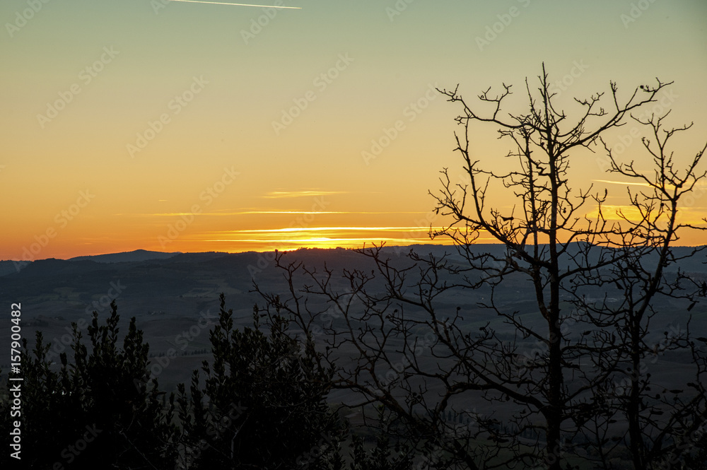 Naklejka premium Montichiello - Tuscany/Italy: October 29, 2017: Winding Cypress lined road in Monticchiello, Val d'Orcia Tuscany Italy at sunset