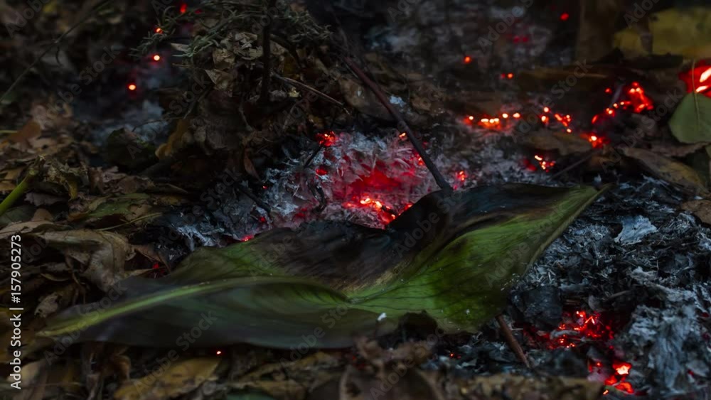 Timelapse loopable video of a burning and rebirthing large green leaf in the ashes of a big pile of leaves and twigs in autumn in 4k 3840 pixels and in 24fps Timelapse loopable video of a burning and rebirthing large green leaf in the ashes of a big pile of leaves and twigs in autumn in 4k 3840 pixels and in 24fps