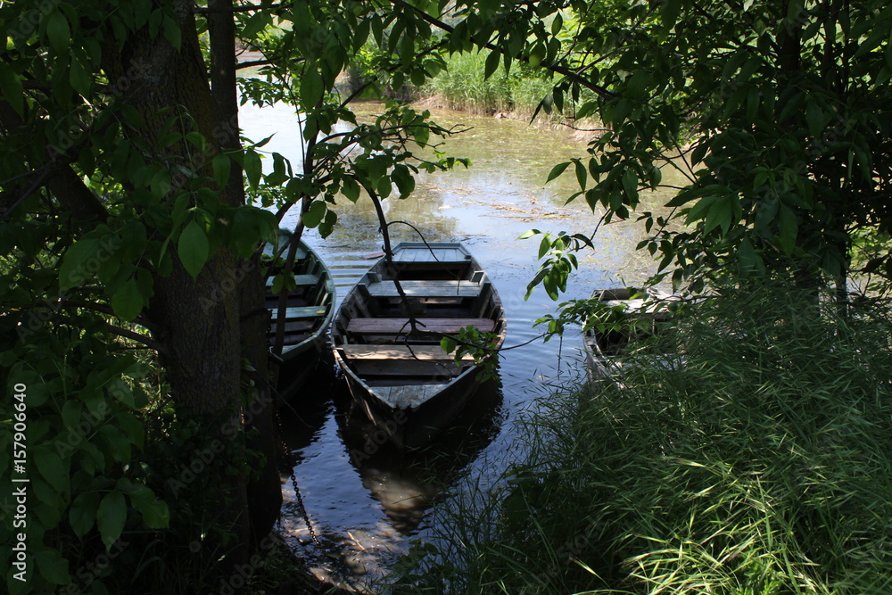 Fototapeta premium природа лодки