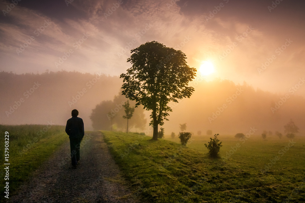 Hazy landscape at sunrise with the silhouette of a man walking on a dirt road. Hazy landscape at sunrise with the silhouette of a man walking on a dirt road.