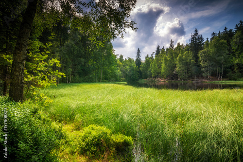 Grass overgrown pond with a dramatic cloudy sky.