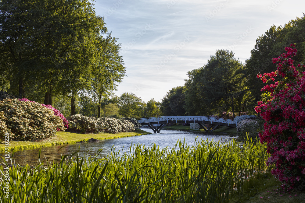 Fototapeta premium Bronderslev park