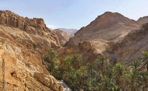 stone desert and palm oasis in Tunisia