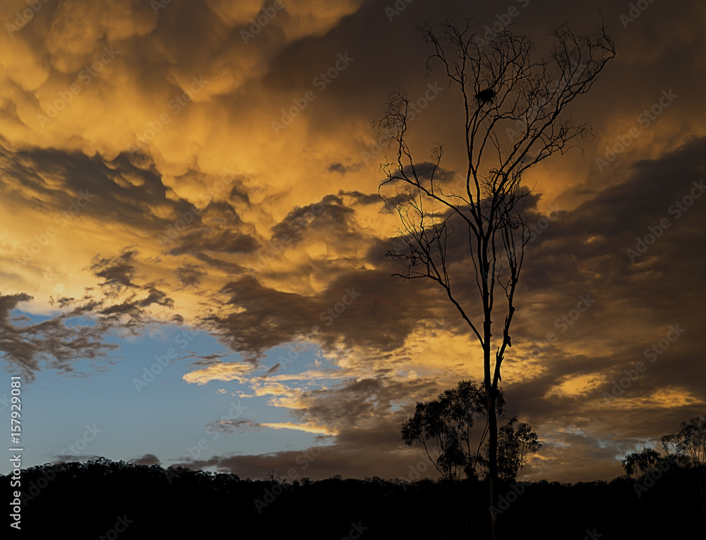 Australian sunset with stormy mammatus clouds