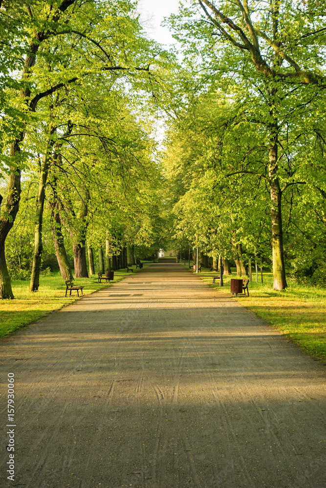 Parklandschaft Parklandschaft