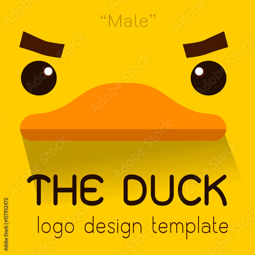 Male duck Flat logo