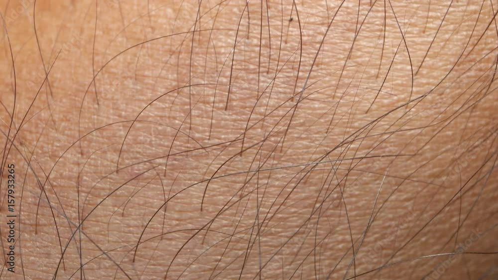 Close up of Human Skin Texture
Close up of Human Skin Texture