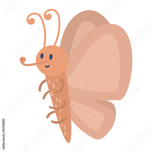 Colorful butterfly with abstract decorative pattern vector graphic summer fre...