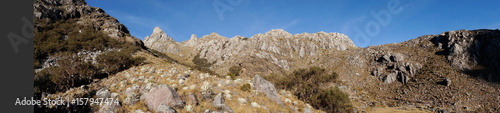 Venezuelan highlands