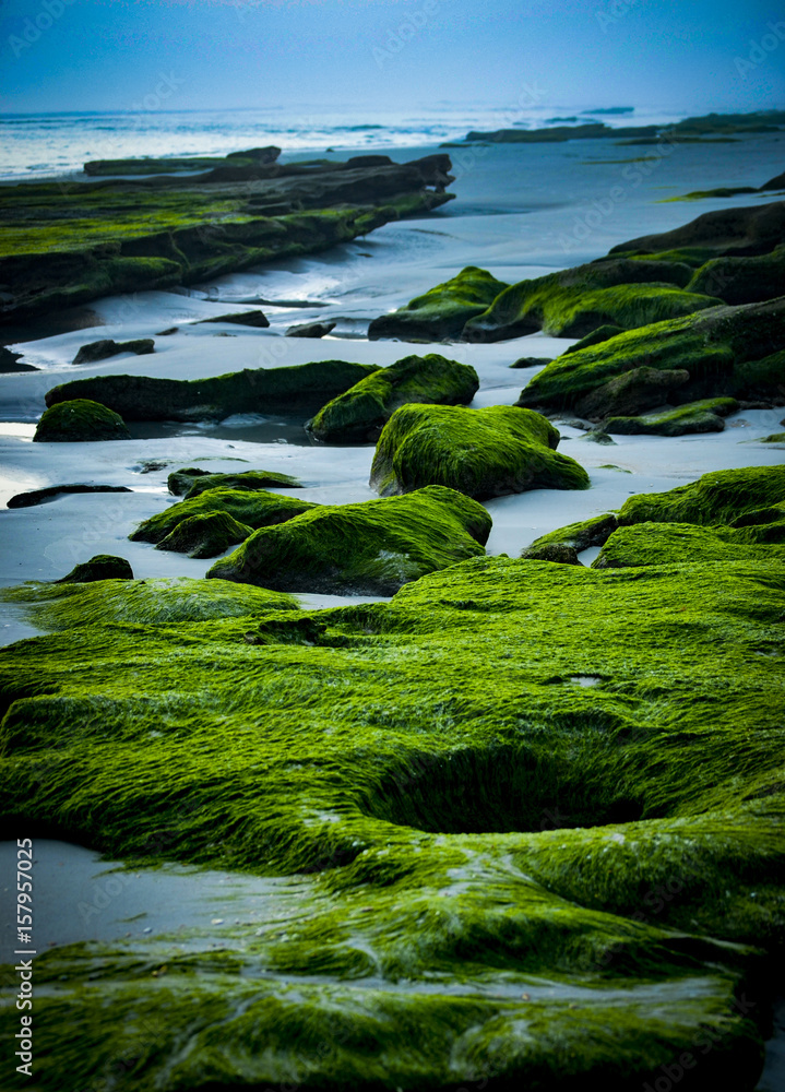 Naklejka premium Algae covered rocks on shoreline