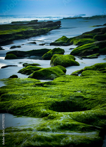 Algae covered rocks on shoreline © Todd