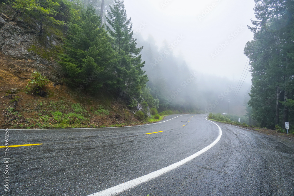 Naklejka premium Lonesome road in the mist leading through the Redwoods National Park