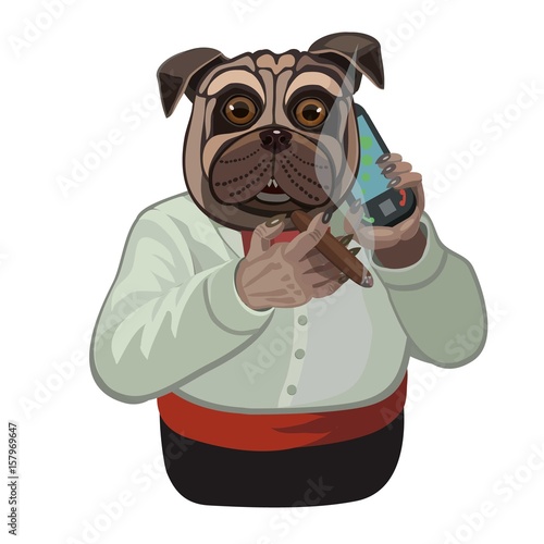 Dog pug talking on a cell phone/ Dog pug talking on a mobile phone, cigar in hand, influential and noble, to make a screensaver on his phone  who are you calling?