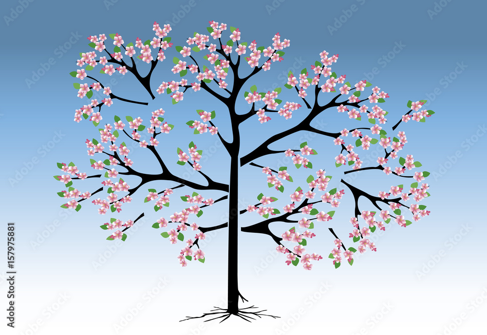 Fototapeta premium Peach tree in bloom