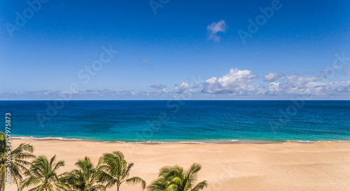 Aerial view of the Ocean and beach with palm trees