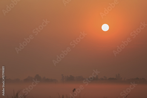Sunrise and fog in the winter.