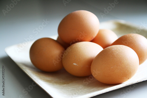 chicken egg