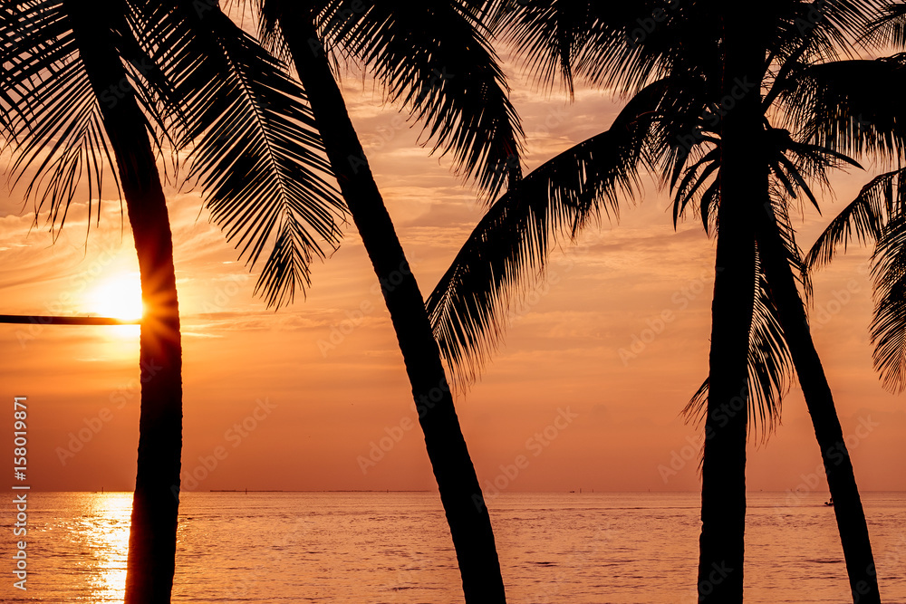 Silhouette coconut palm trees on beach at sunset.