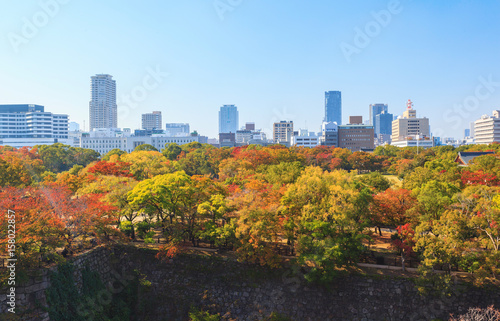 Photography Aerial view of Osaka cityscape in autumn season at Osaka, Japan