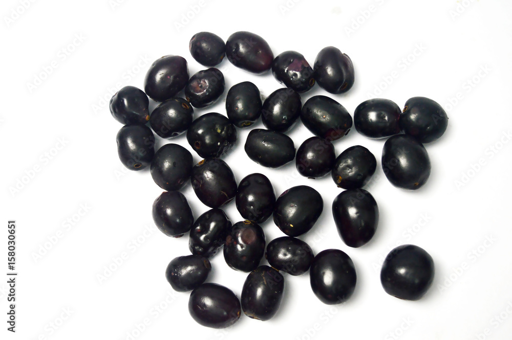 Black Berry or Java Plum Isolated Black Berry or Java Plum Isolated