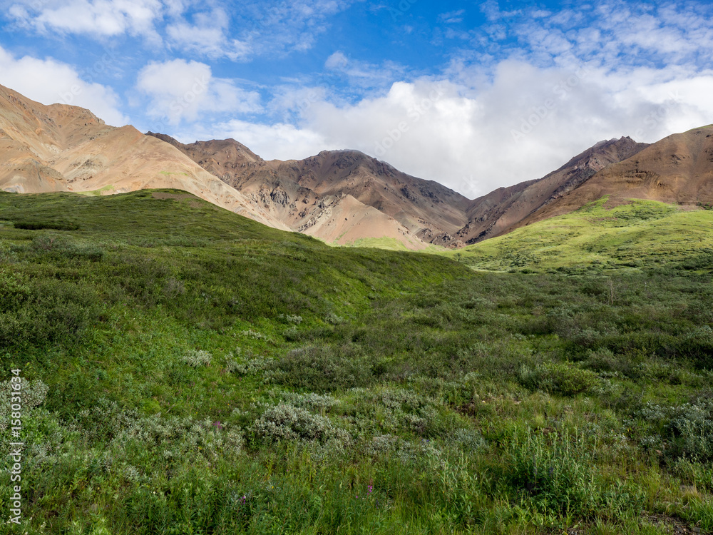 Green field with brown craggy mountains and blue sky with clouds in Denali National Park, Alaska, United States.