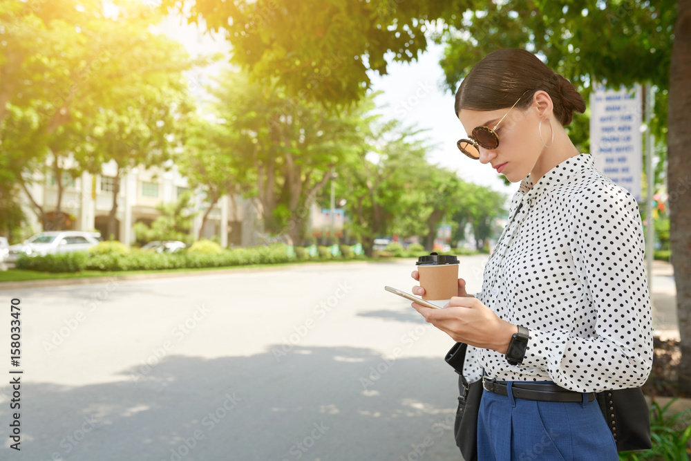 Fototapeta premium Stylish business lady