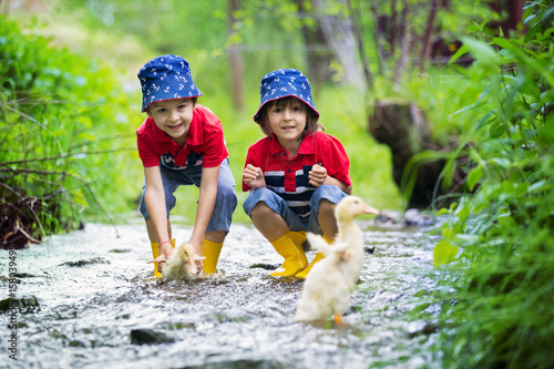 Fototapeta Naklejka Na Ścianę i Meble -  Cute children, boy brothers, playing with boat and ducks on a little river