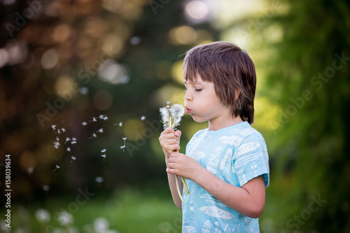 Child having fun  blowing dandelions