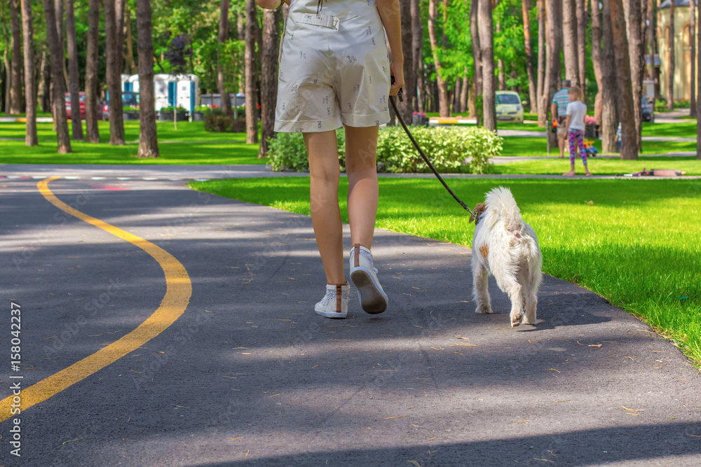 Young woman and Parson Russell Terrier dog walking in a park Young woman and Parson Russell Terrier dog walking in a park