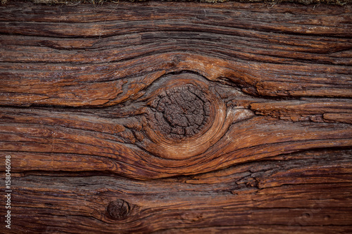 texture of bark wood use as natural background