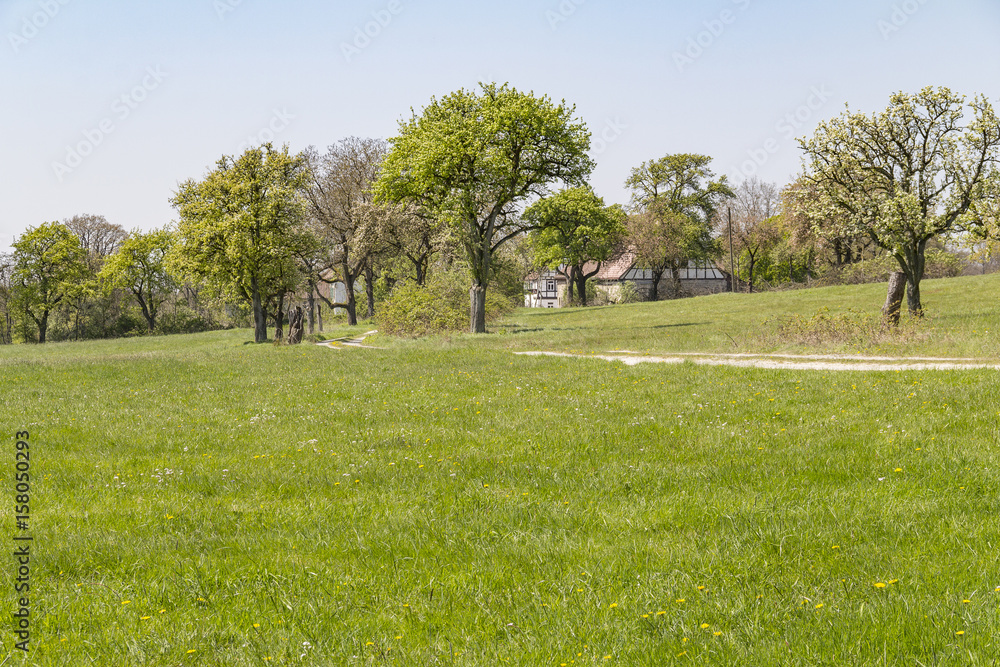 farmstead at spring time