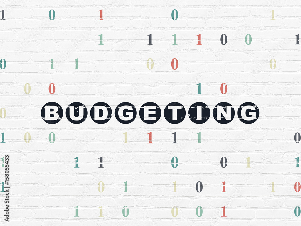 Finance concept: Budgeting on wall background Finance concept: Budgeting on wall background
