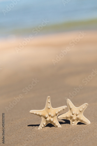 Summer beach with a starfish on a background. Summer beach background.