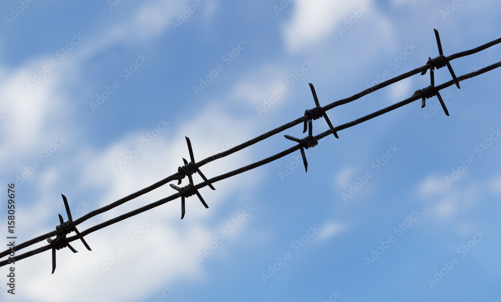 Barbed wire against blue sky, prison concept Barbed wire against blue sky, prison concept