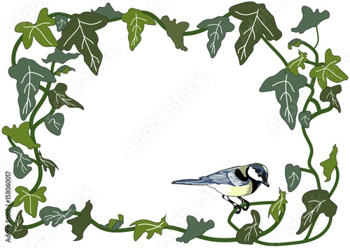 Frame of a great tit sitting on an ivy branch.