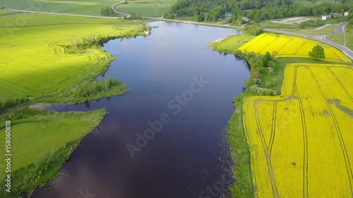 Rapeseed field yellow green lake Aerial view of countryside, drone top view yellow green Latvia photo