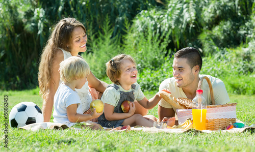 Family on picnic at countryside