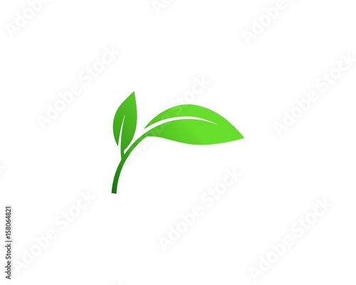 Leaves and stems