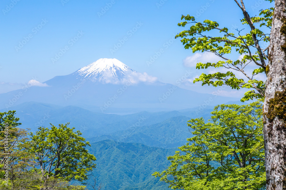 Fototapeta premium 西丹沢から見る富士山
