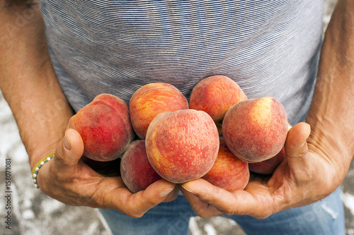 Peach growers